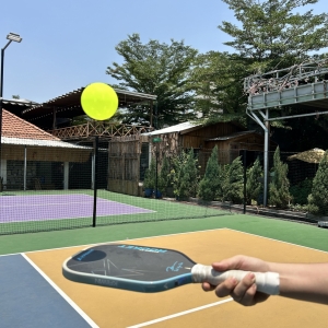 Bóng Pickleball Taro Pro 40